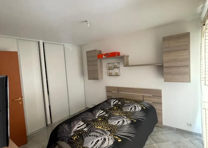 Immeuble Le Mozart Апартаменты *